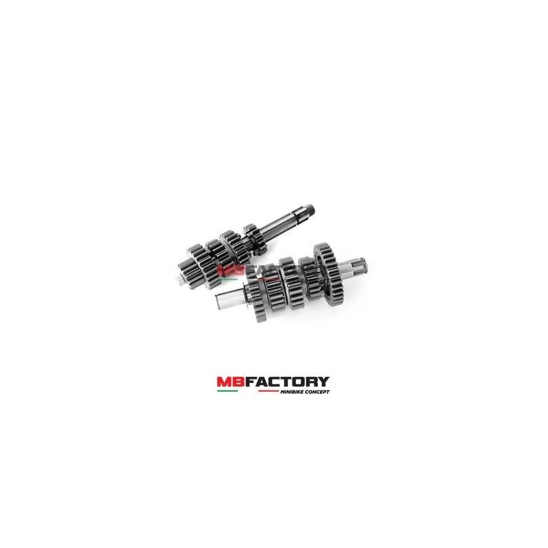 Cambio completo Daytona Anima 190 GP5