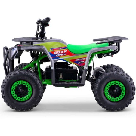 miniQuad ROAN BULL 1000W R6