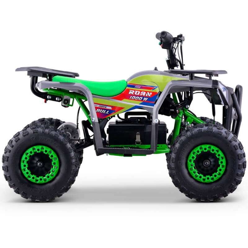 miniQuad ROAN BULL 1000W R6