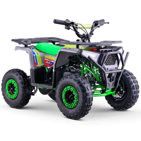 miniQuad ROAN BULL 1000W R6