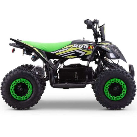miniQuad ROAN RATTE 800W R6