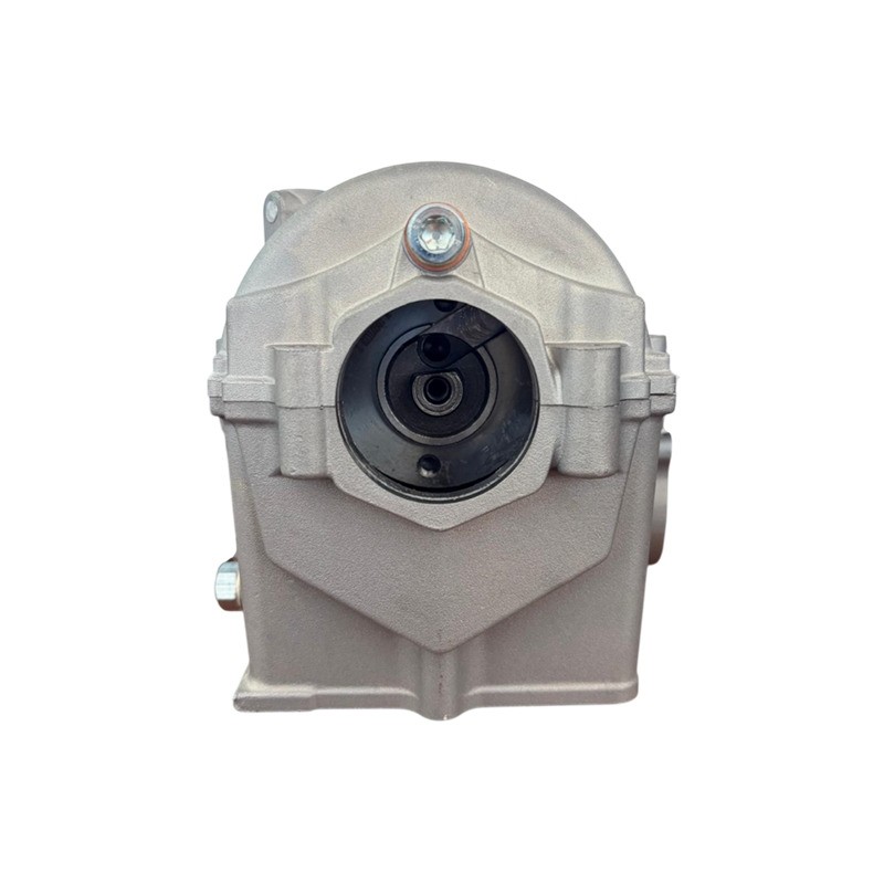 Culata zs450