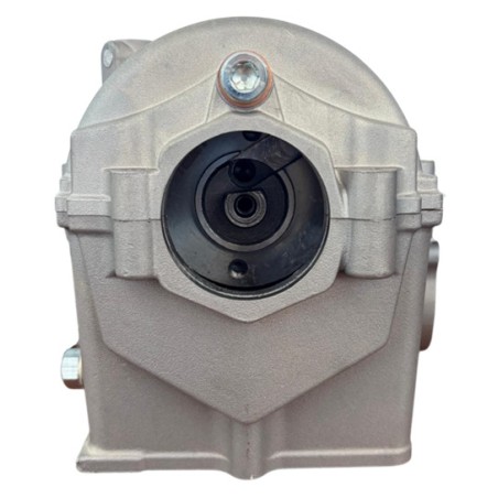 Culata zs450