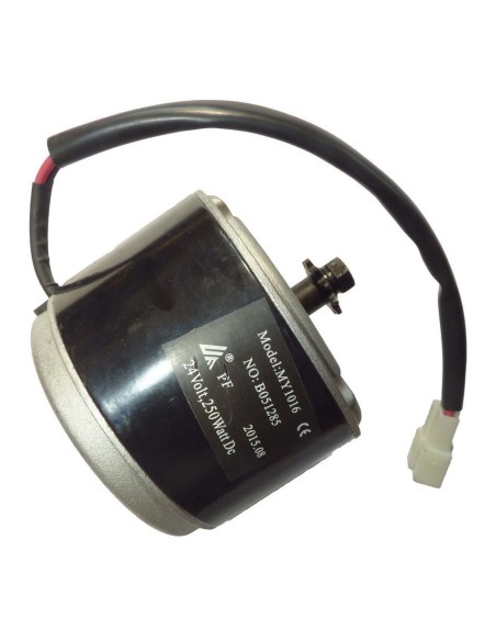 ELECTRIC ENGINE 250W