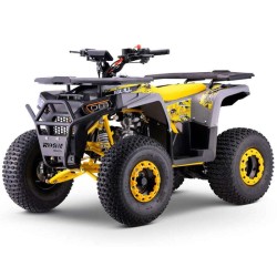 Quad 125CC ROAN BULL Automático Ruedas 8 grandes 2