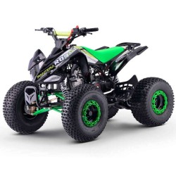 Quad 110cc ROAN PANTERA R8 AUTO 2