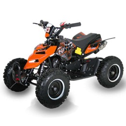 miniQuad NITRO REPTI 49cc R6