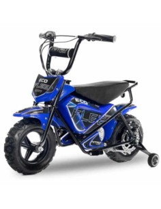 miniMoto ECO FLEET 250W