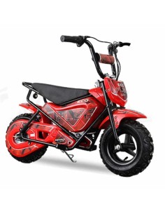 miniMoto ECO FLEET 250W 2