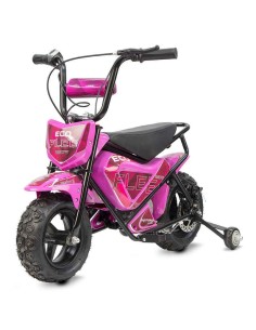 miniMoto ECO FLEET 250W 2