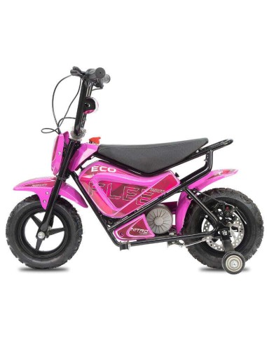 miniMoto ECO FLEET 250W