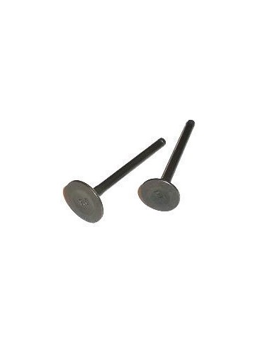 ADMISSION VALVE / EXHAUST VALVE PIT BIKE 125