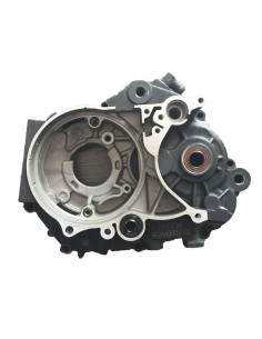 Carter exterior izquierdo YX150/160