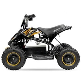 miniQuad NITRO PHYTON 800W 36V R6