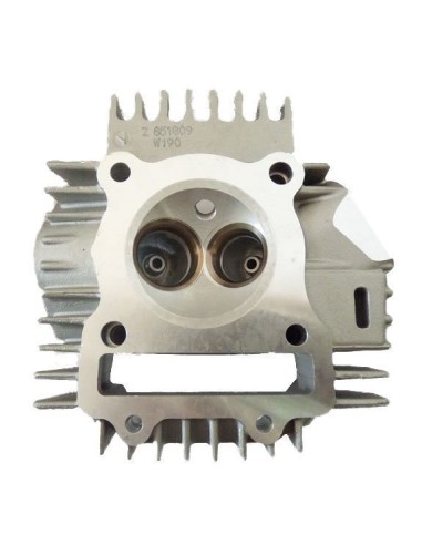 Cylinder head zs190