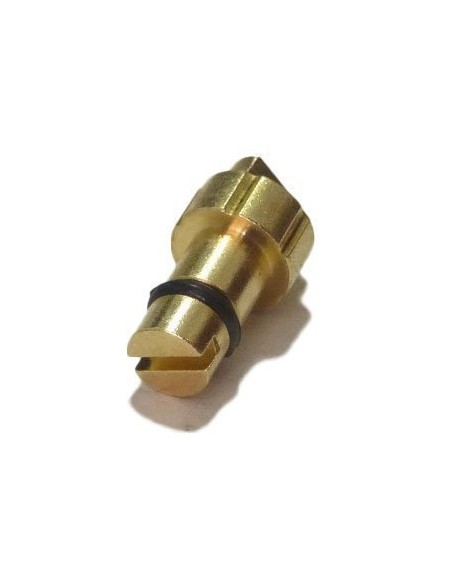 Bolt regulation fork marzocchi