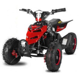 miniQuad NITRO REPTI 800W R6