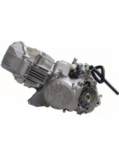 Motor zs190cc 2V con arranque electrico 2