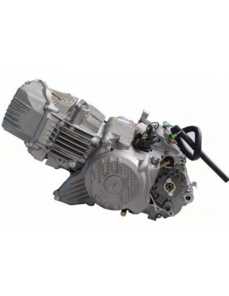 Engine zs190cc 2v