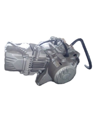 Engine zs190cc 2v