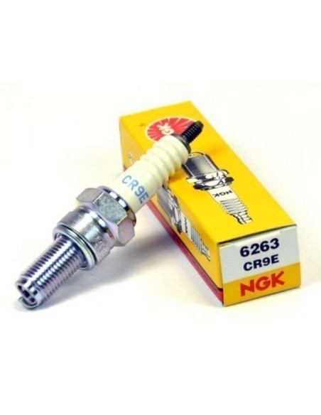 Bujia NGK CR9E