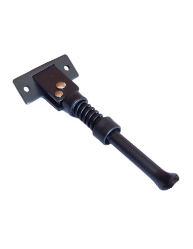 Side stand litthium skateboard