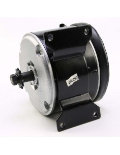 ELECTRIC ENGINE 250W 2