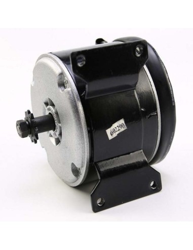 ELECTRIC ENGINE 250W