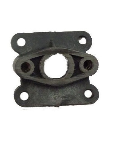 Intake valve and gaskets minimoto