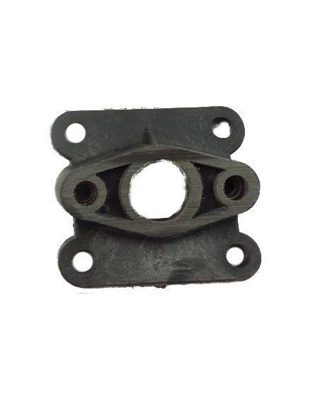 Intake valve and gaskets minimoto