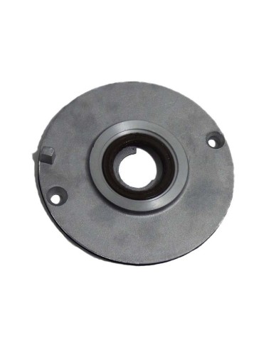 Plato fijador de encendido zs190