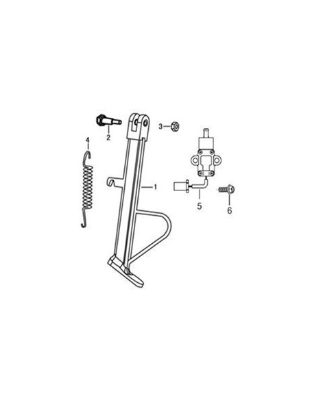 Muelle soporte lateral
