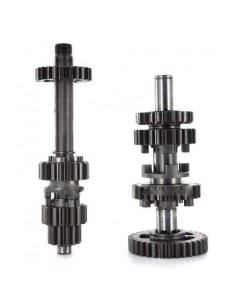 Gearbox assy daytona anima