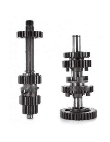 Gearbox assy daytona anima