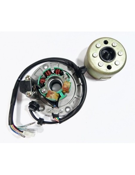 Stator light and magneto zs190