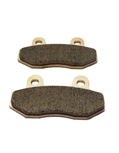 Brake pads GALFER 2 piston