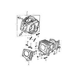 Despiece motor