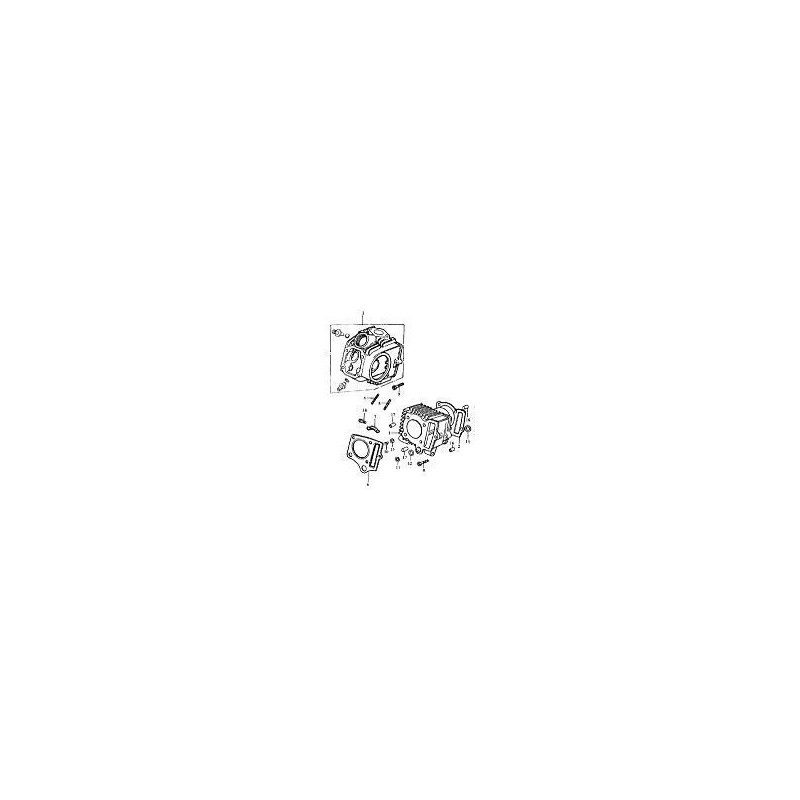 Despiece motor