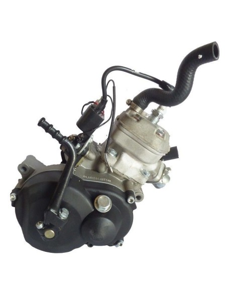 Engine 65cc franco morini copy