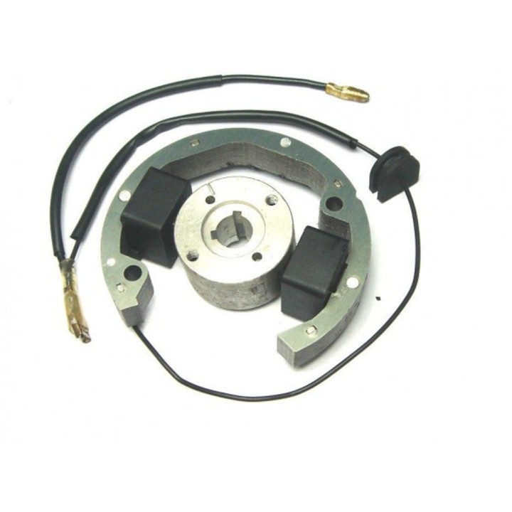 Encendido de pit bike malcor KTM 49cc Estator dos bobinas SX50