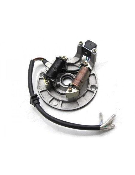 Encendido completo pit bike