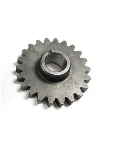 Piñon engranaje secundario yx