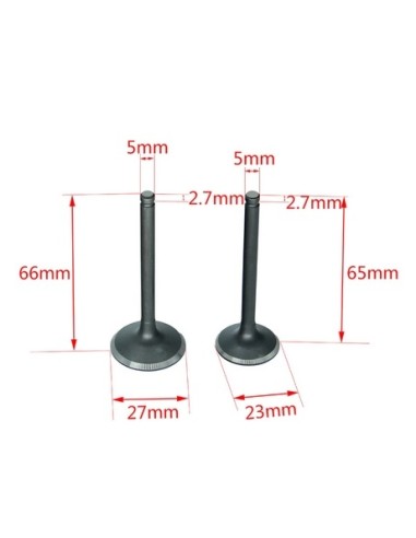 Valves yx or zs