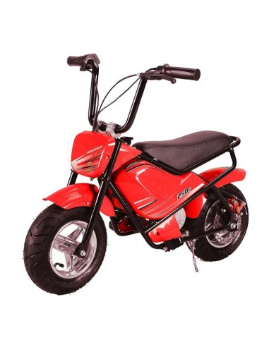 Electric bike MTR MTR 250w