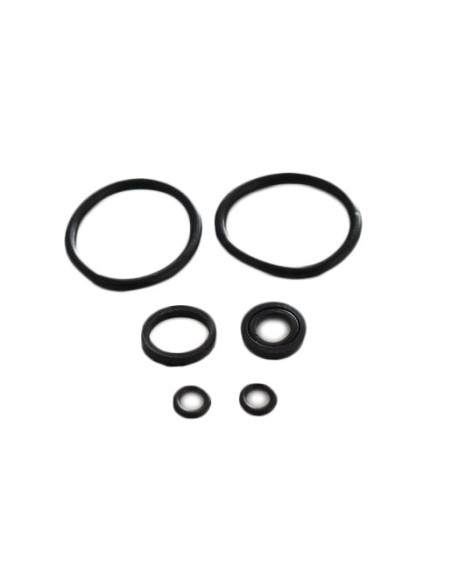 Cylinder head O-rings seal