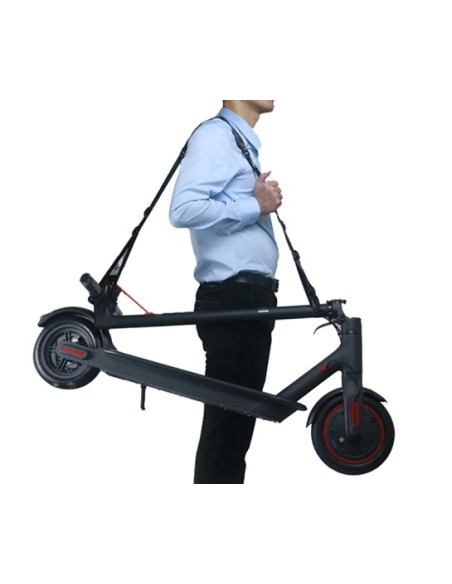 Correa de transporte patinete