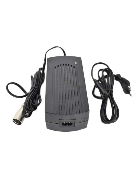 Charger litthium 48v