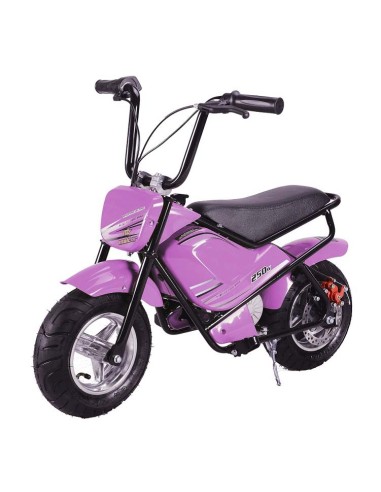 Electric bike MTR MTR 250w
