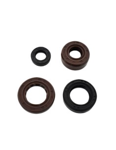 Oil seal set zs190 engine
