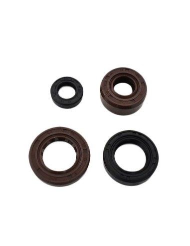 Oil seal set zs190 engine